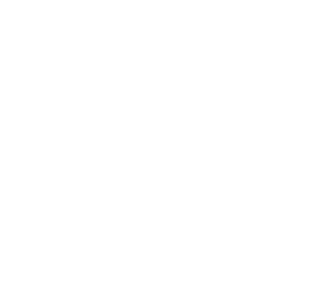 Top 100 Franchise
